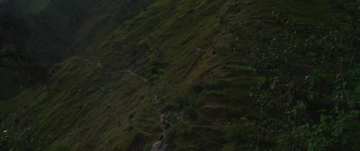 A group of people carrying large bags on their backs descend a mountain as a group of goats follow behind