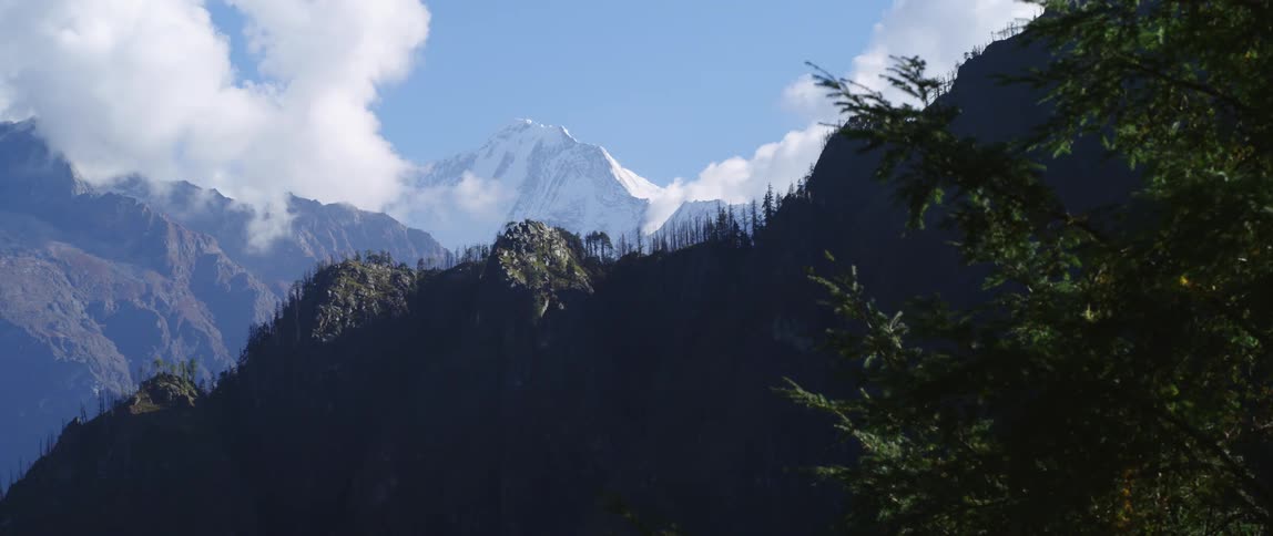 Mountains with pine forest in front of tall snow covered peak