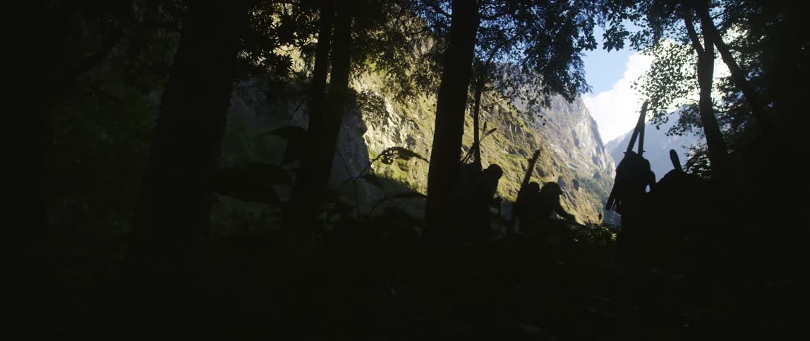 People use walking sticks as they hike through terrain in a forest near a canyon