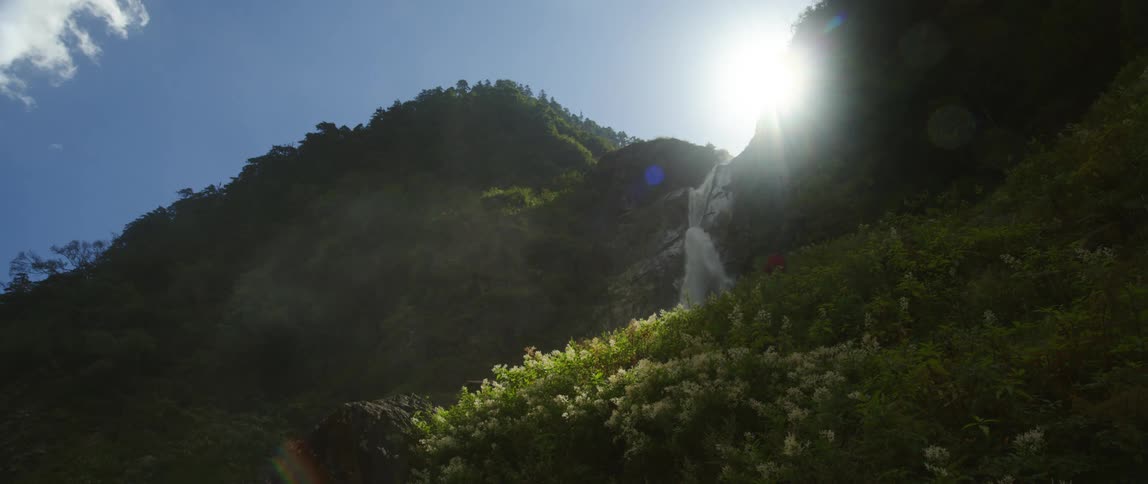 A person walking in a field of grass and trees near a waterfall