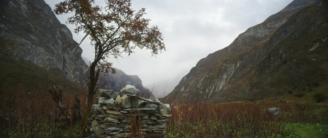 Tree stands next to stacked flat stones between two mountain slopes