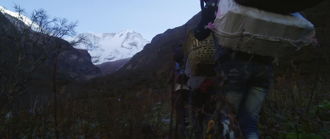 Three people are hiking through the wilderness