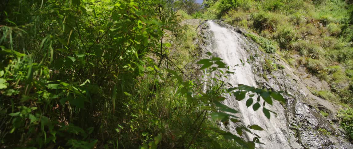 A river with a waterfall with plants and leaves in the foreground and the sky in the background