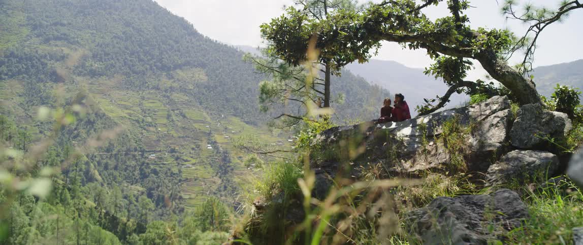 Two people sit under tree on large boulder in front of mountain range