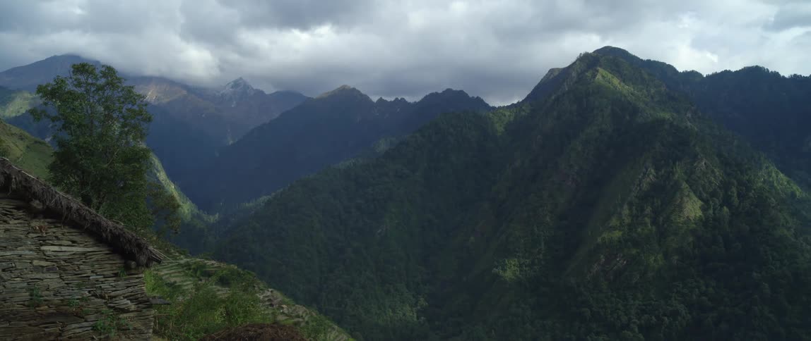 Aerial view of forest covering mountains