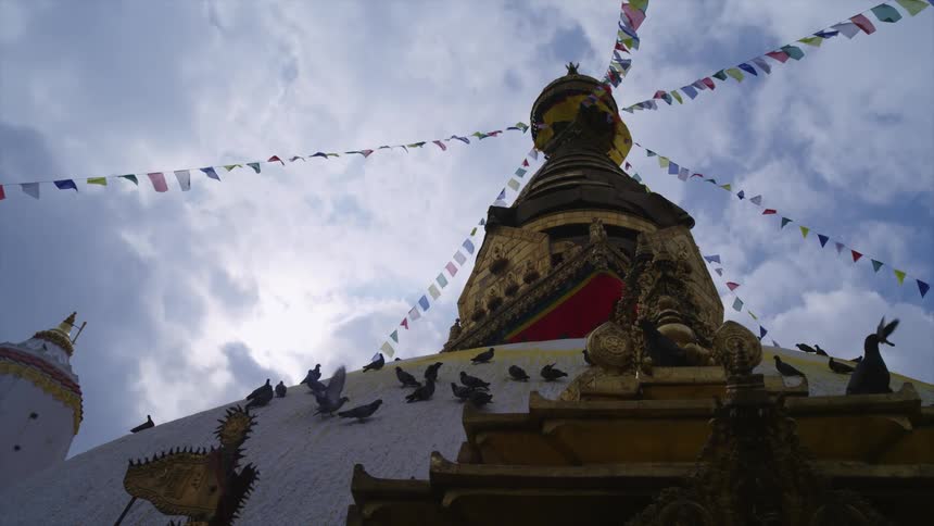 Medium sized black birds sit on the roof of an asian shrine that has colorful flags hanging from the top