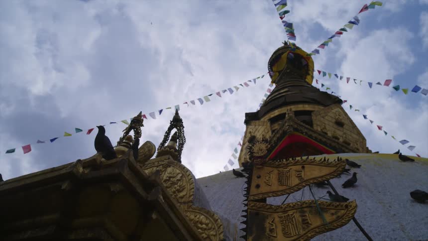 Pigeons fly over ornate building decorated with banners