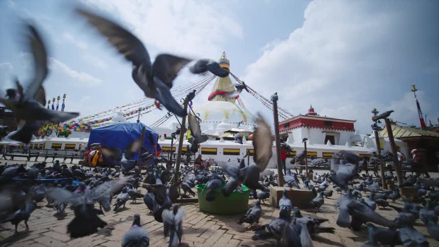 People walk around near building decorated with lines and banners as pigeon flock takes off