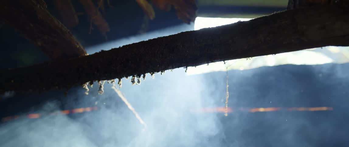 Smoke rises past pipe toward opening showing tree limb