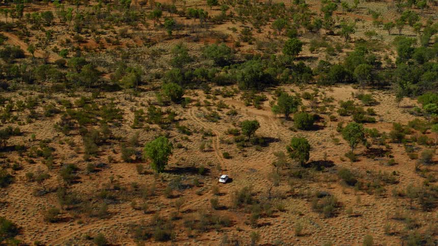 A white sport utility vehicle drives through a vast desert dotted with trees and brush