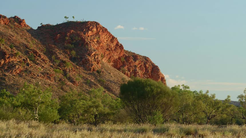 Trees at the base of a cliff
