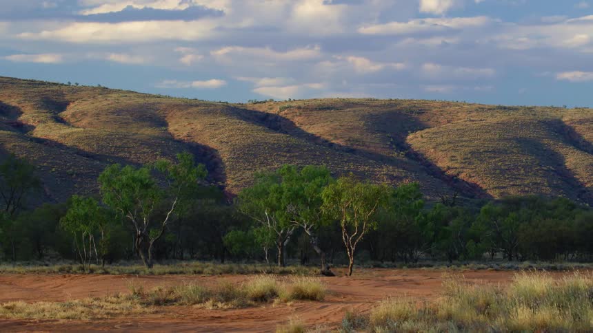 Tall hills behind grassland and trees