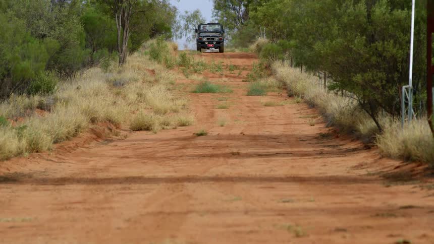 A jeep travels a rural dirt road surrounded by trees