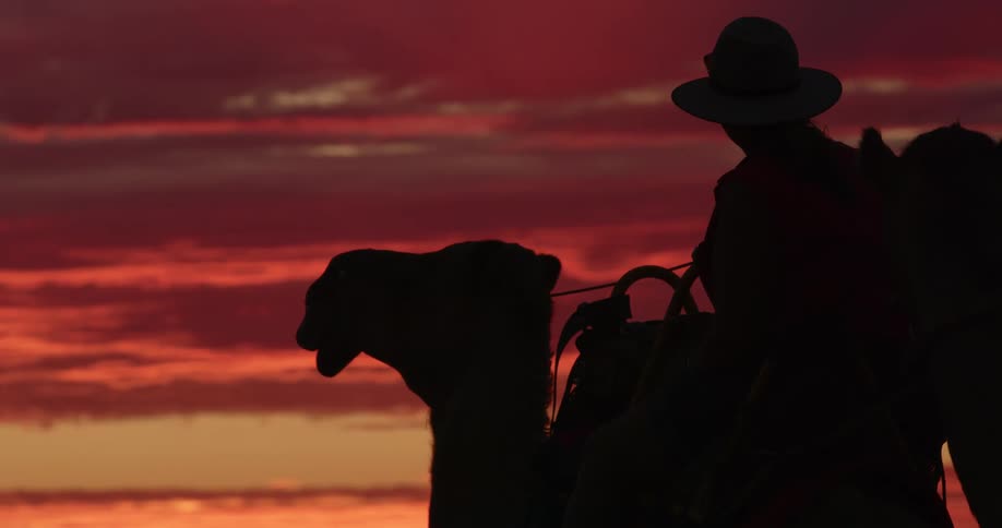 Person silhouetted by light sits on camel against sky colored shades of red