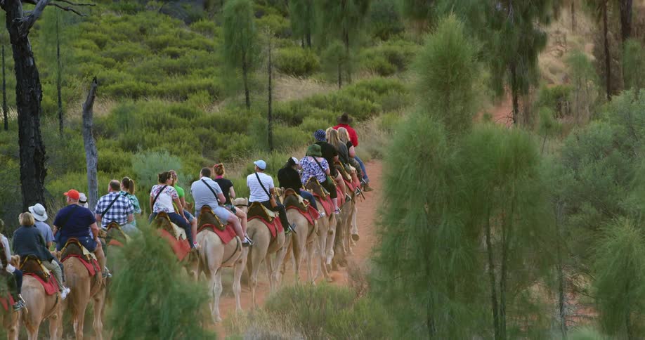 Line of people riding camels follows red dirt trail past trees and scrub