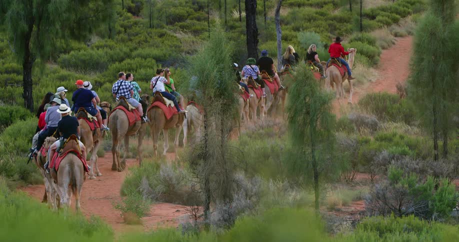 Group of people ride camels along red dirt path through wilderness