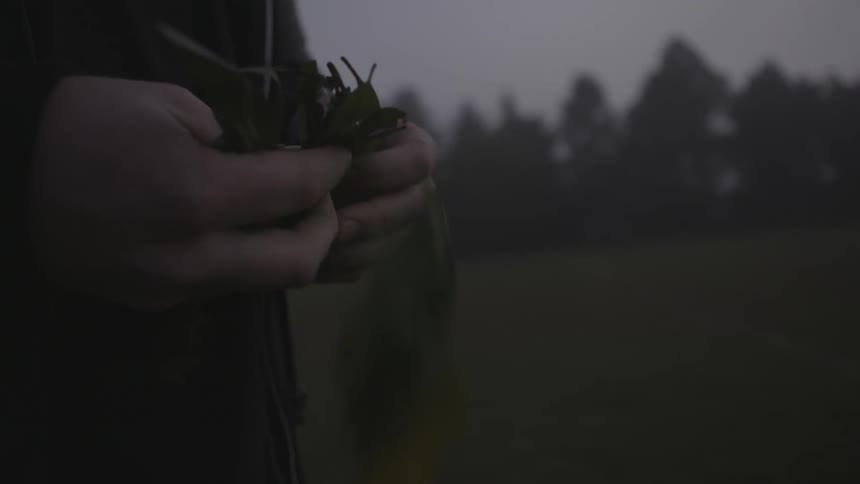 A man holds leaves outside on an overcast day
