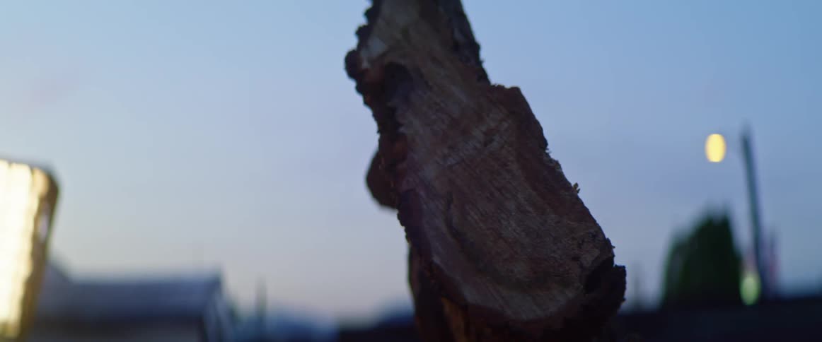 Large slab of cut raw edge wood against tree stump