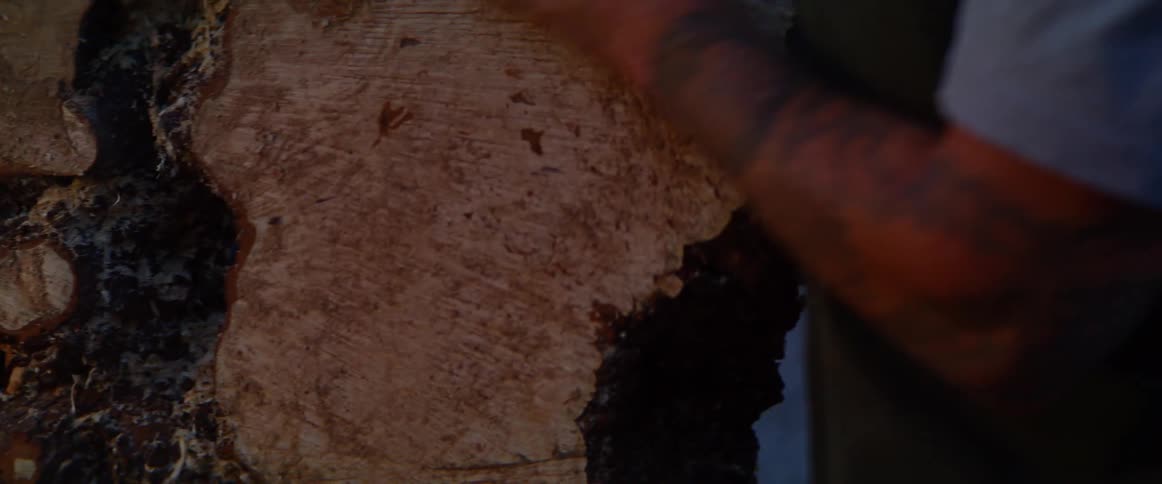 Man walks up to a piece of raw cut wood and examines it