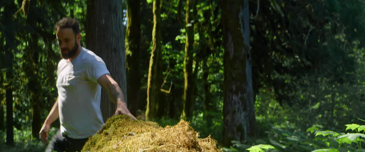 A man with a t-shirt in a forest placing a band around a tree trunk next to plants
