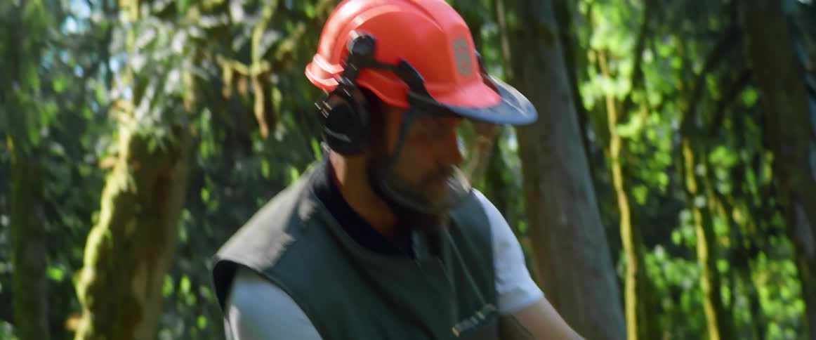 Man with a helmet and headphones uses a chainsaw for cutting a thick tree trunk in the woods