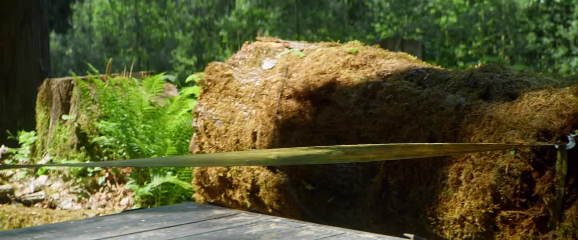 Lifting a long up onto a trailer using a winch