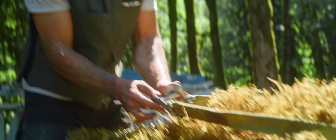 A man secures a large tree with a ratchet strap in a rural setting