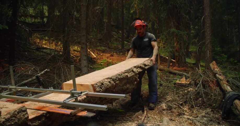 Man with cut raw planks of lumber in pine forest