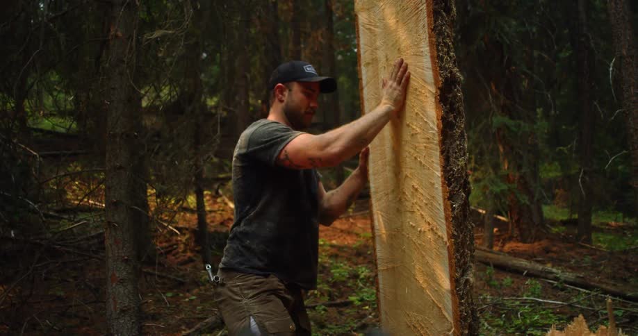 A man maneuvers a large slab of wood in a forest during the day