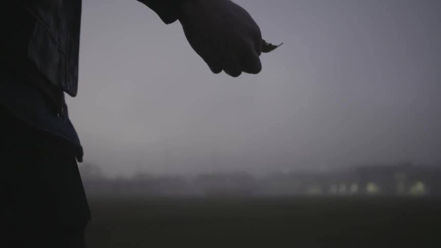 A person drops leaves outdoors in the fog