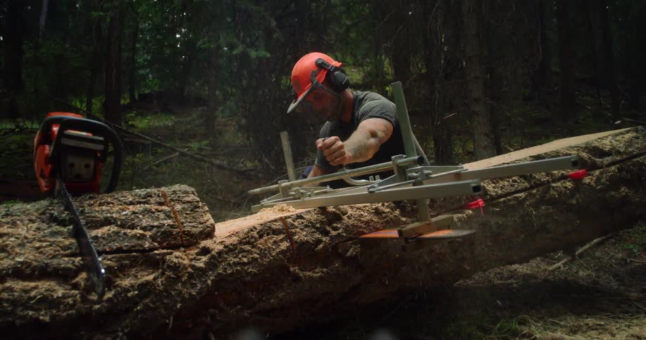 Man cutting lumber in forest