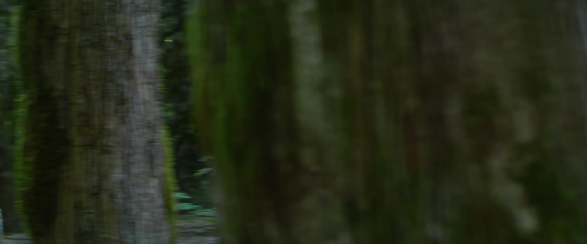 A man walks in a forest area carrying a chainsaw