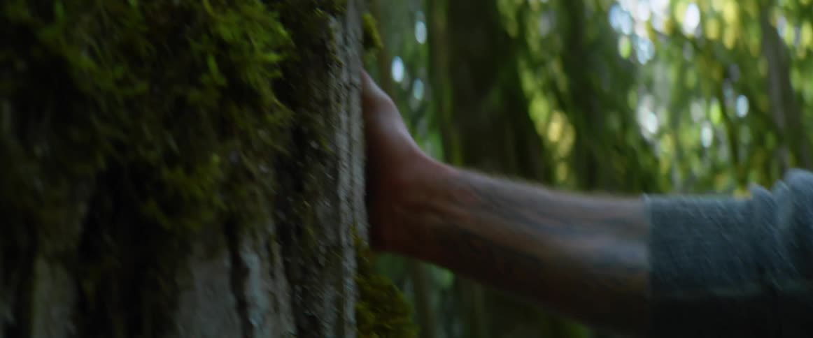 A man with a hat and a vest walking in a forest touching a tree