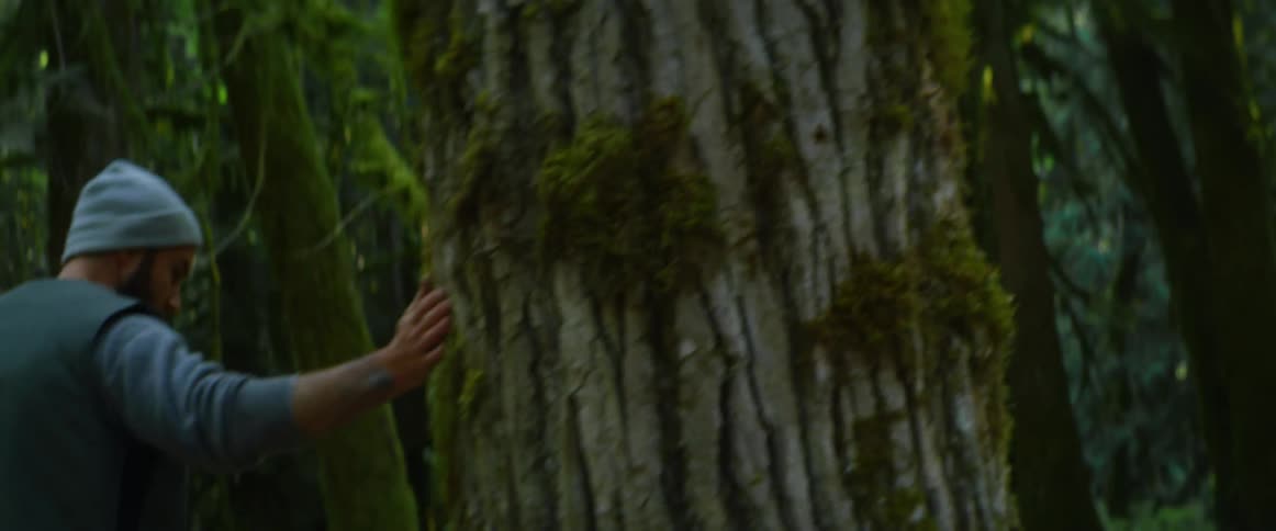 A man with a chain saw walks around a large tree and looks at it
