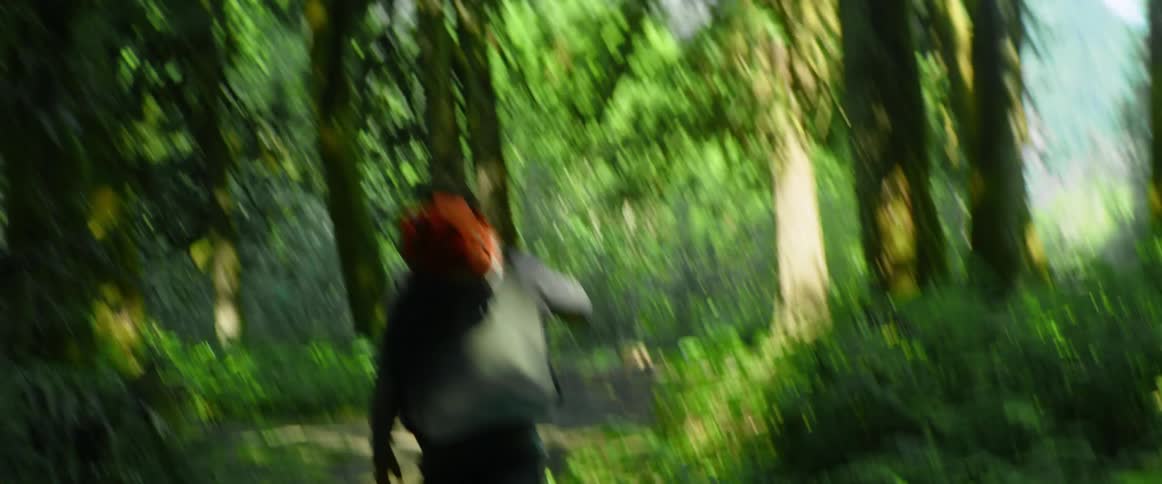 A man with a chainsaw walking on a pathway in the forest