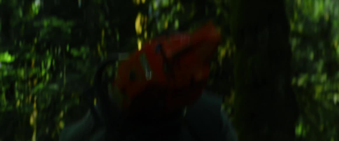 A man walking in the forest with trees holding a chainsaw