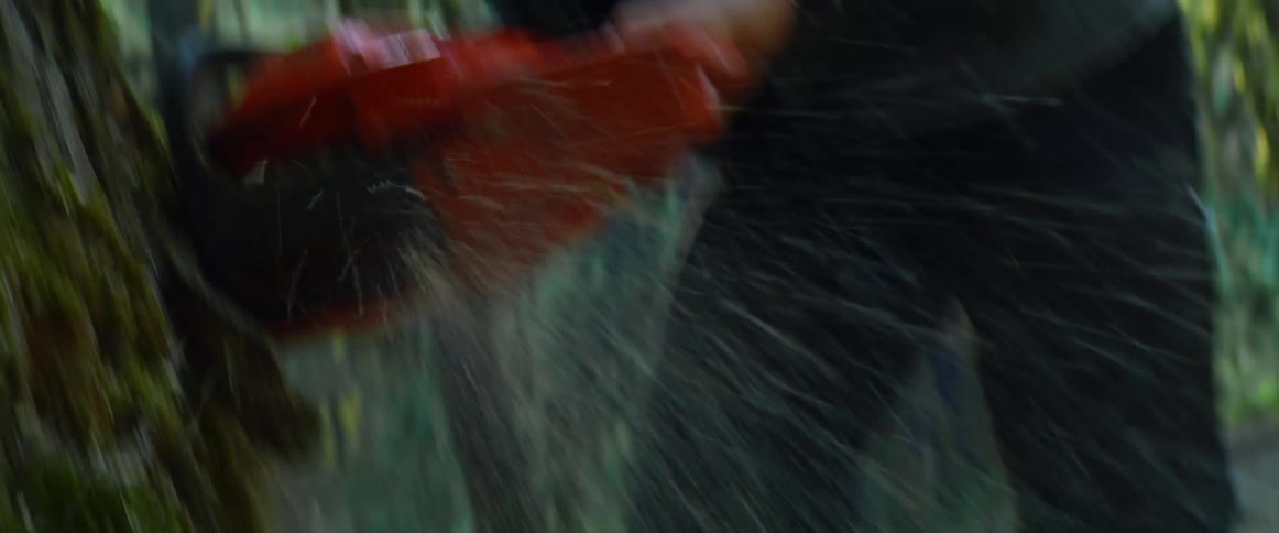 A bearded man holding a chainsaw uses it to cut through a large tree in a forest
