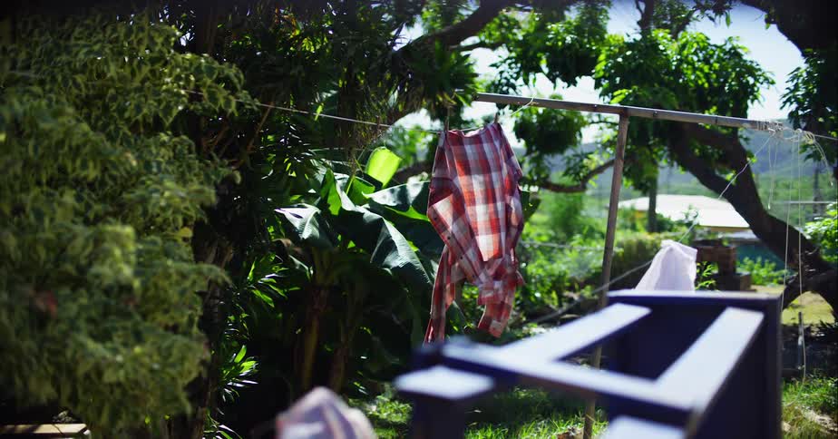A plaid shirt and a white shirt hang from clothes lines outdoors