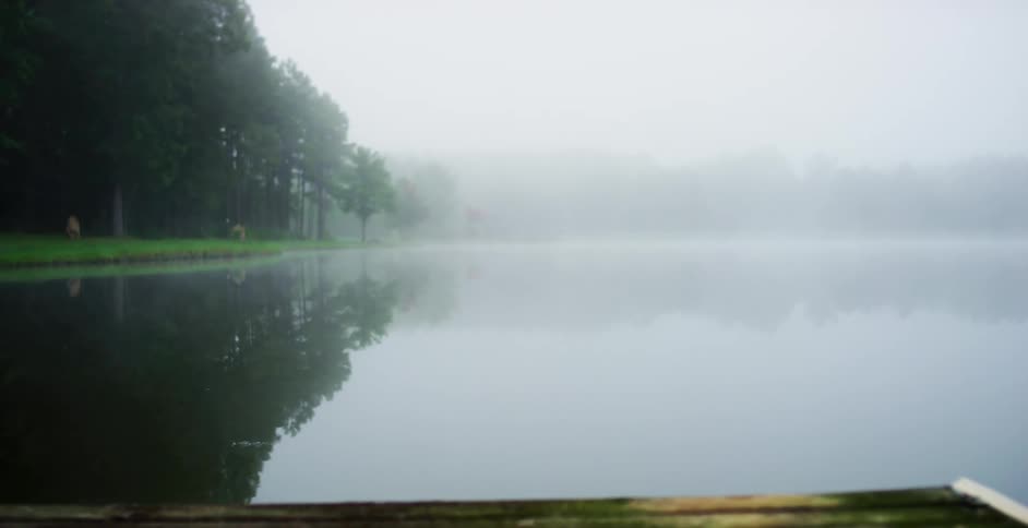 A calm lake shrouded in fog and surrounded by forest during the day