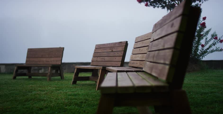 A grassy field with benches a tree a wall and the sky in the background