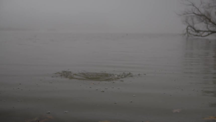 A stone skipping along the water's surface