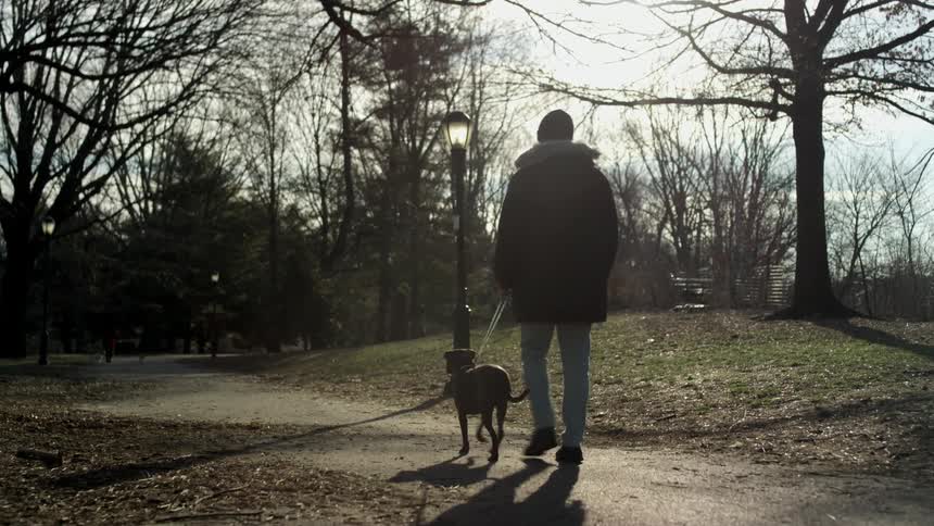 A man is walking his dog outdoors in fall