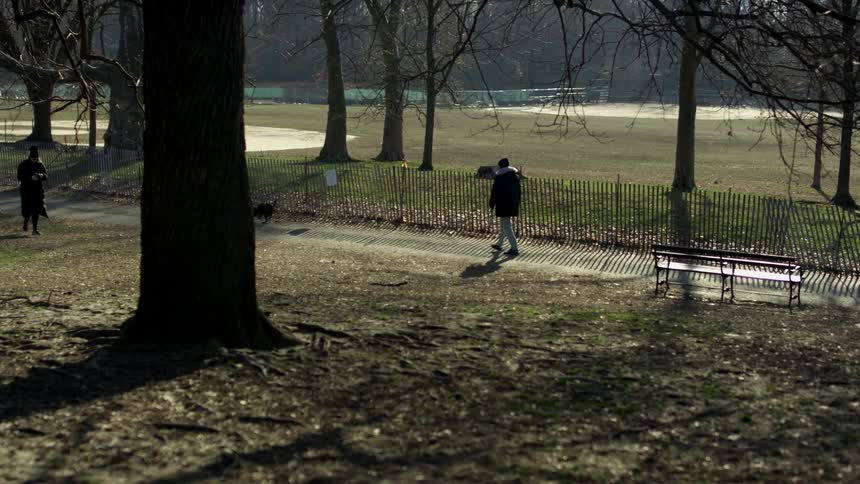 A person throws something for their dog to go fetch in a public park