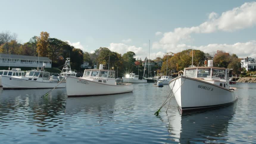 A number of boats are docked on a sunny day
