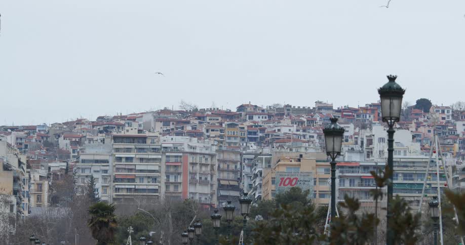 Birds flying over a metropolis on a cloudy day