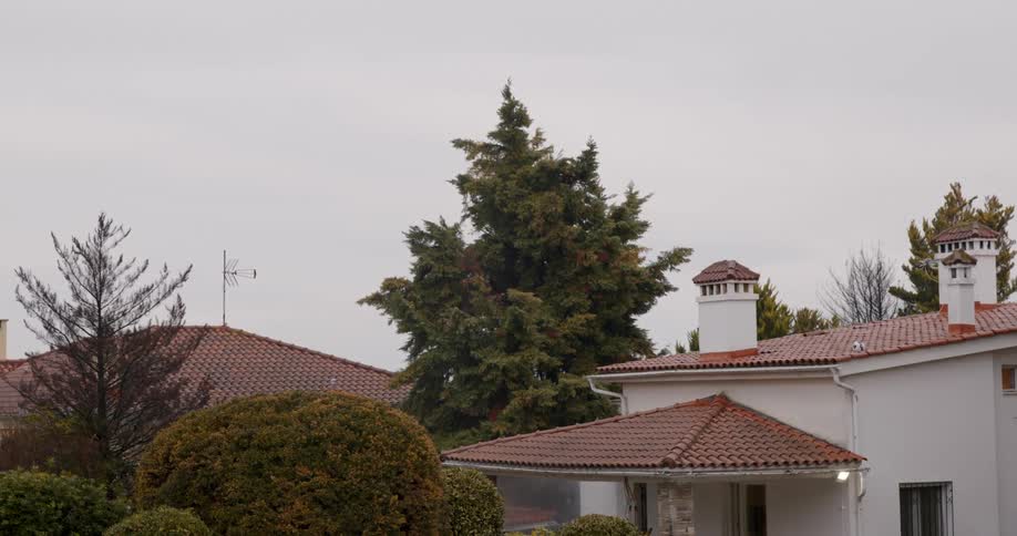 Houses in a neighborhood are displayed