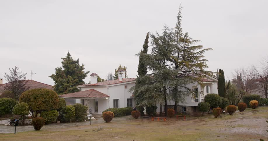 Wide lawn and landscaping surround house with reddish roof on windy day