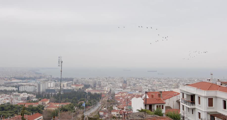Flocks of birds fly over a metropolis in greece on a foggy day