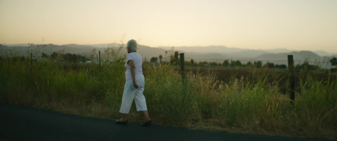 An elderly woman walking down a road past farmyards