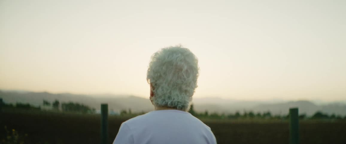 An elderly woman standing in a field looks out over the foggy countryside